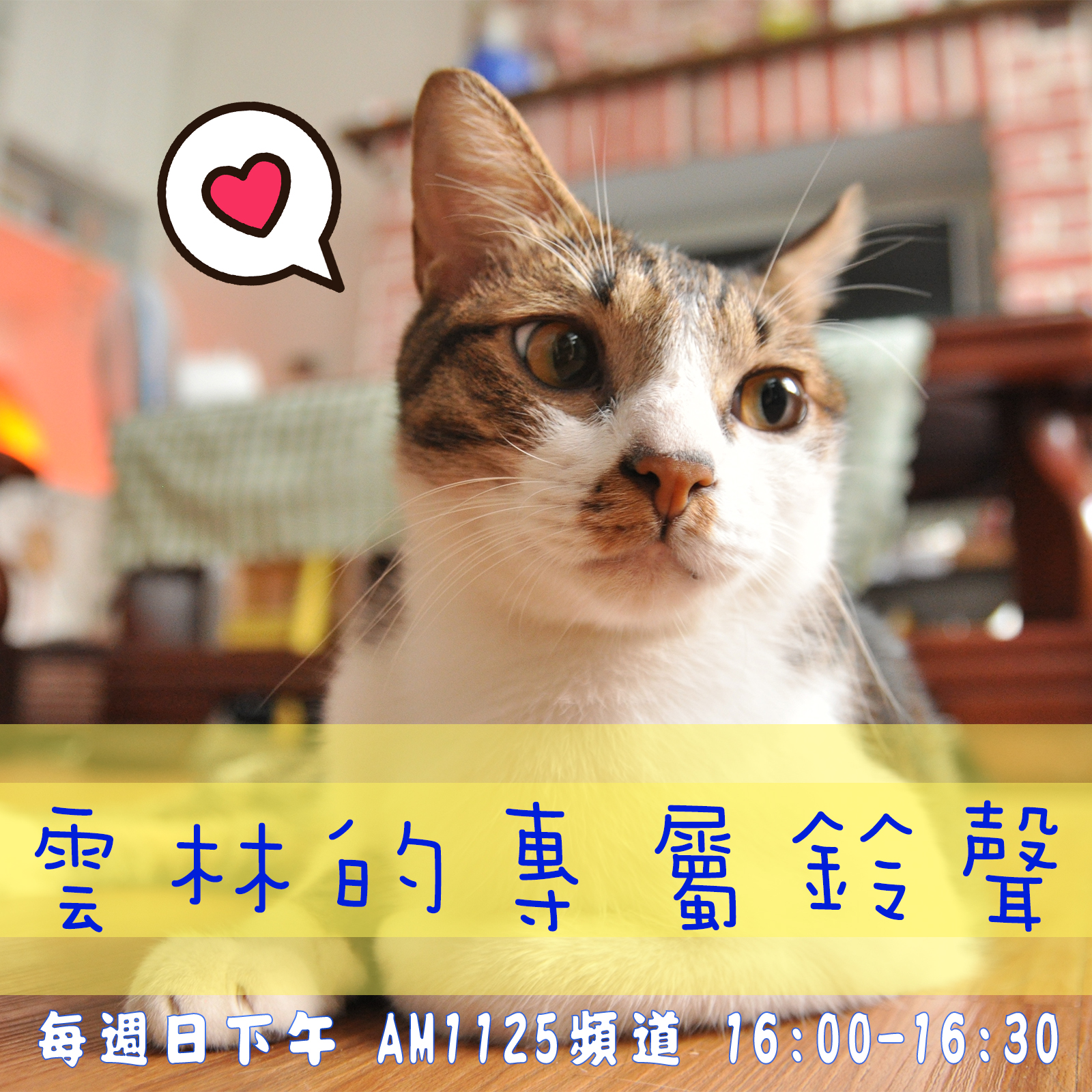 雲林的專屬鈴聲